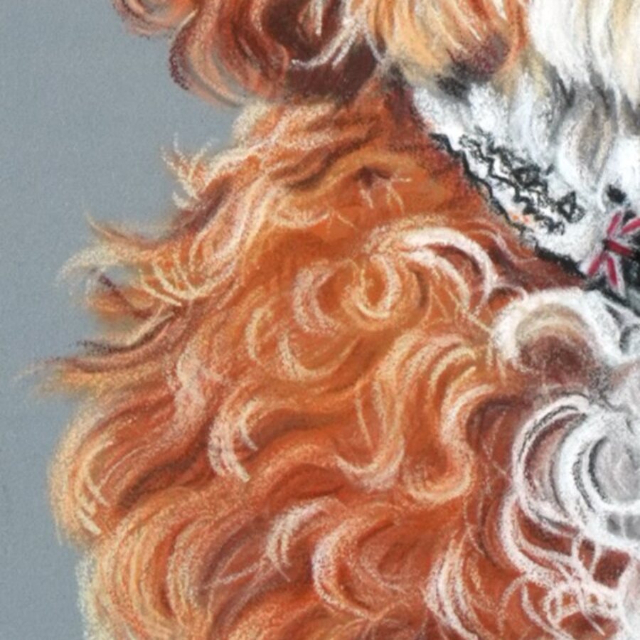 Close-up of layered coloured pencil curls