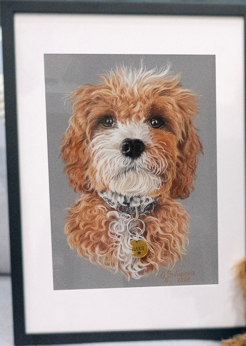 The finished portrait of Haku, framed