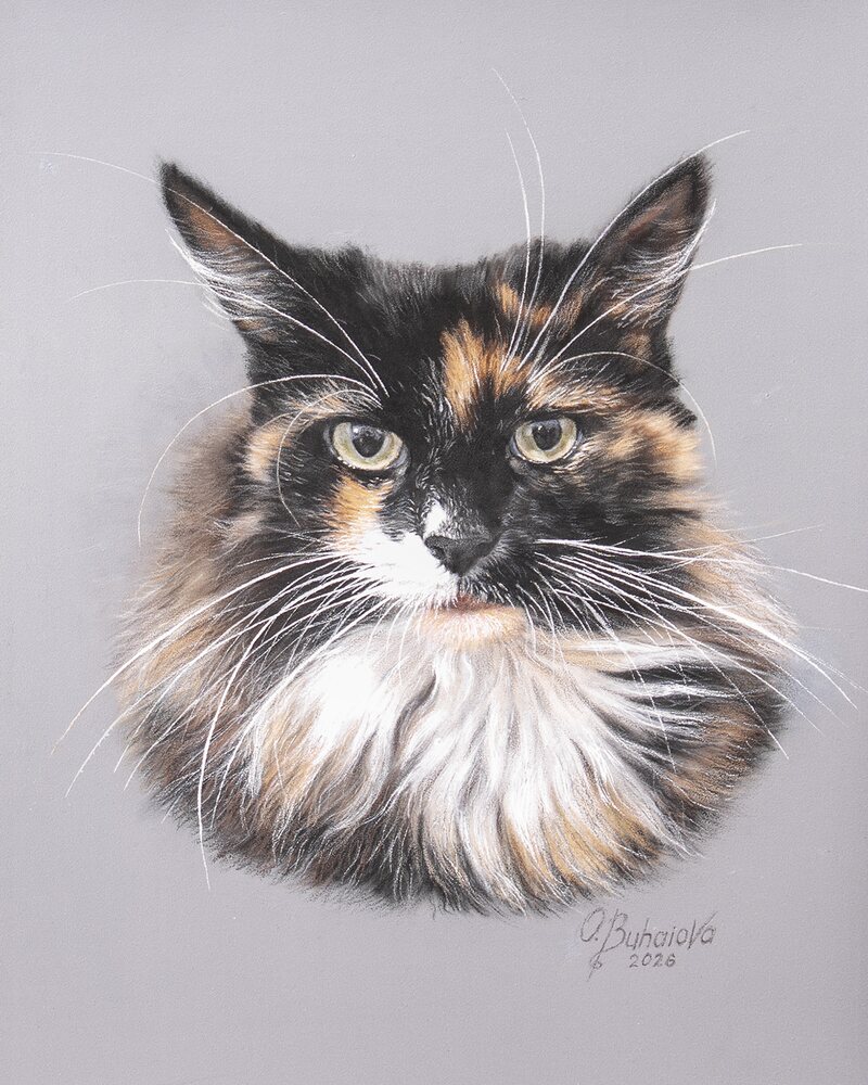 The finished coloured pencil portrait of Belle