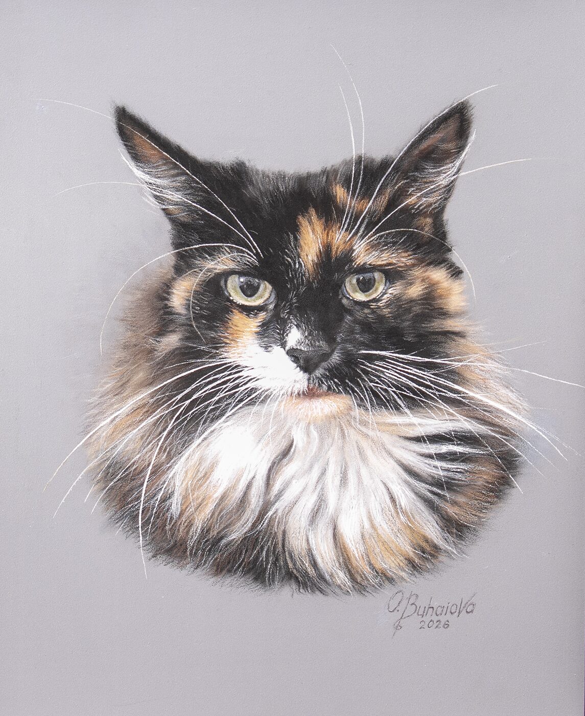 Coloured pencil portrait of Belle, a long-haired tortoiseshell cat