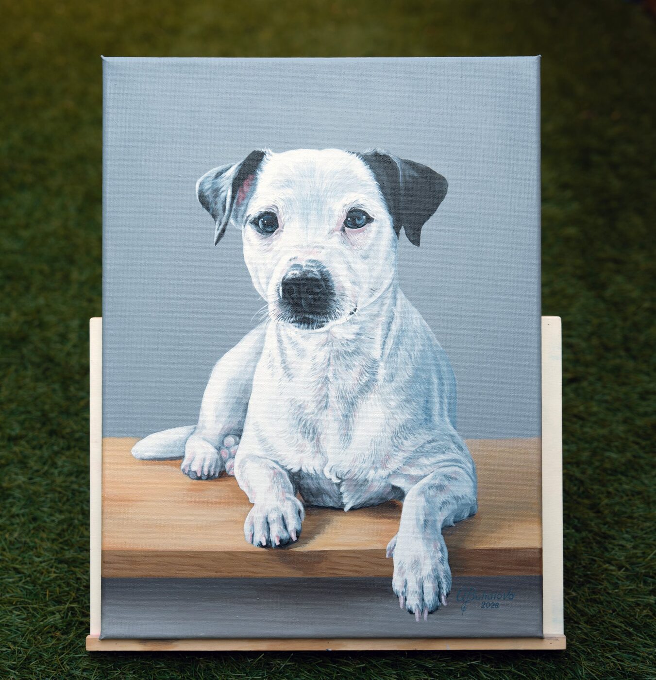 Acrylic painting of Rocky, a white Jack Russell Terrier, resting on a wooden board