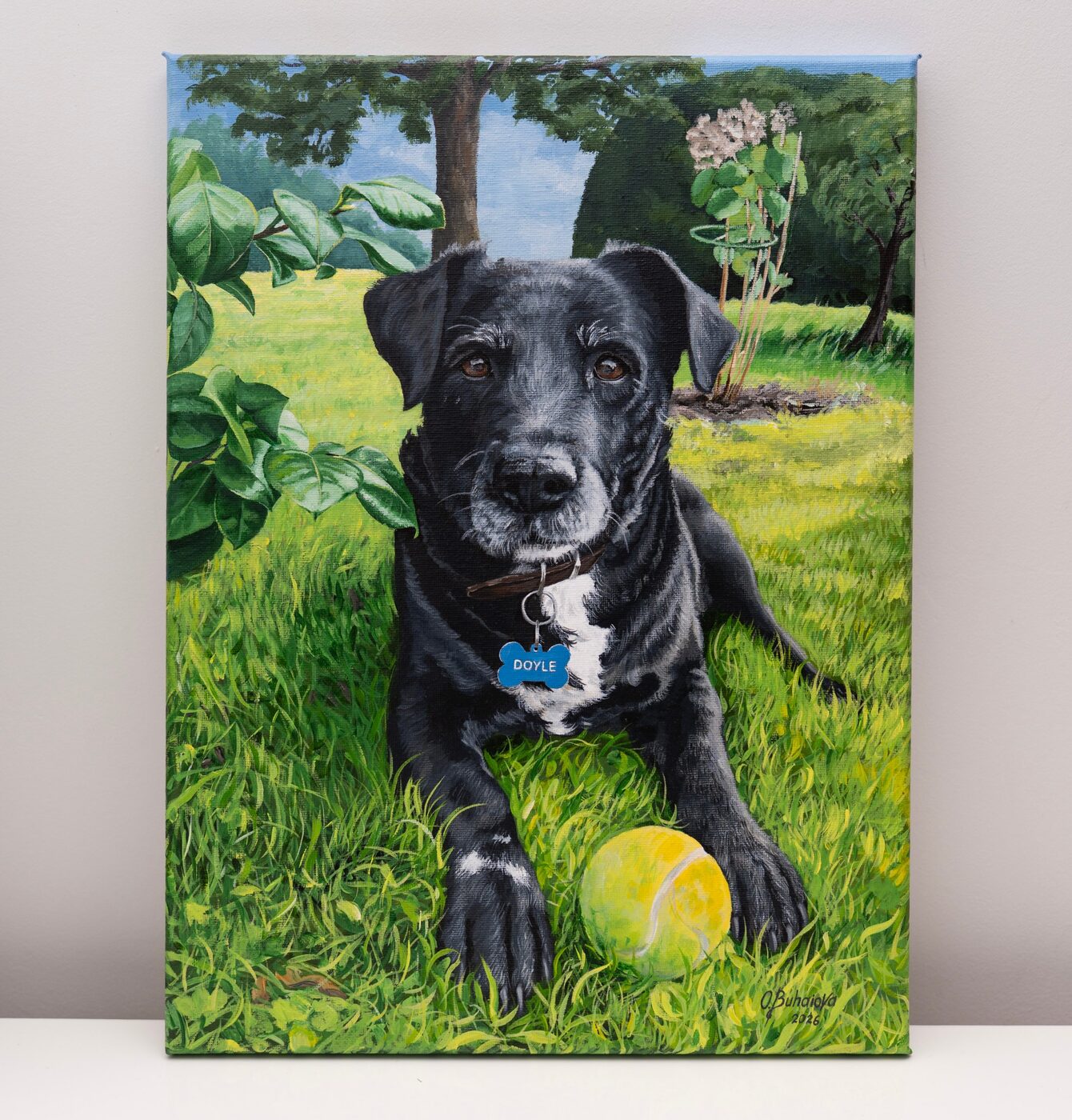 Acrylic painting of Rolo, a black dog with a tennis ball, lying in a garden